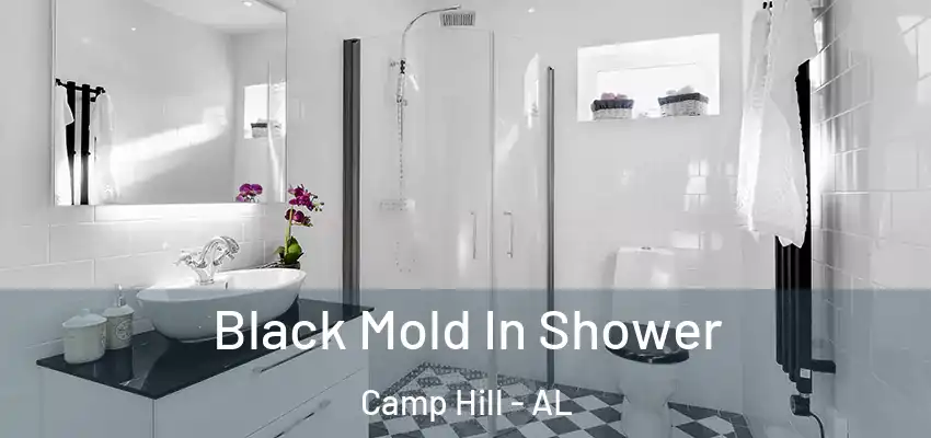  Black Mold In Shower Camp Hill - AL