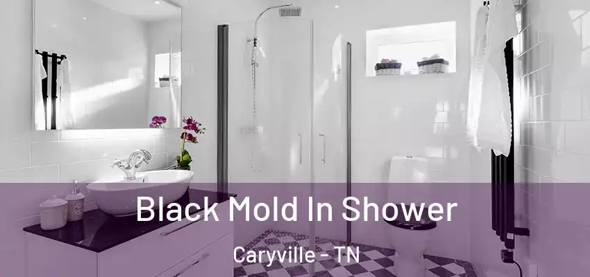 Black Mold In Shower Caryville - TN