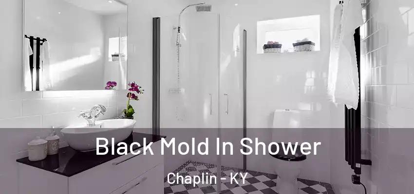  Black Mold In Shower Chaplin - KY