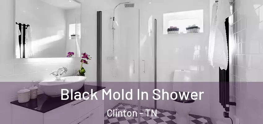  Black Mold In Shower Clinton - TN