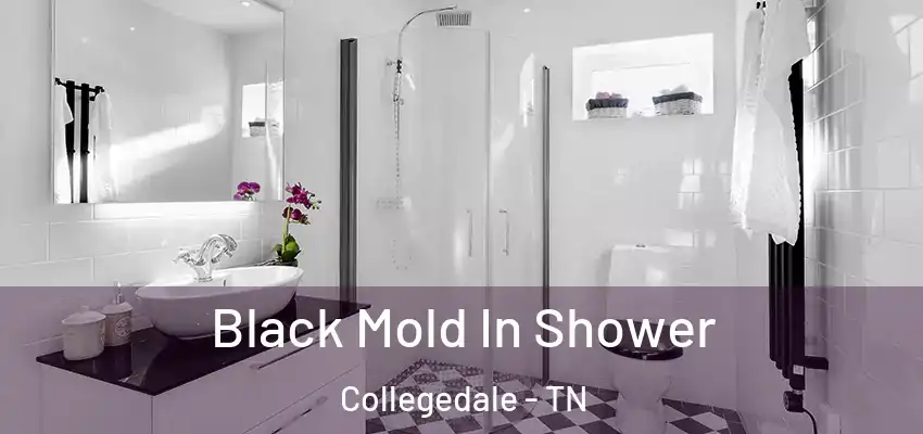  Black Mold In Shower Collegedale - TN