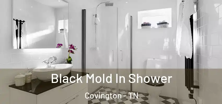 Black Mold In Shower Covington - TN