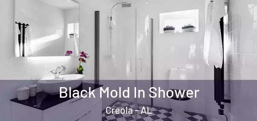  Black Mold In Shower Creola - AL