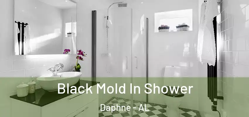  Black Mold In Shower Daphne - AL