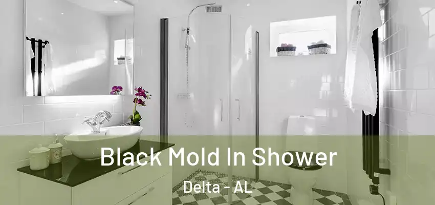 Black Mold In Shower Delta - AL