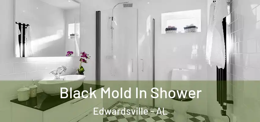  Black Mold In Shower Edwardsville - AL