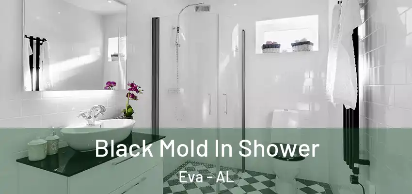 Black Mold In Shower Eva - AL