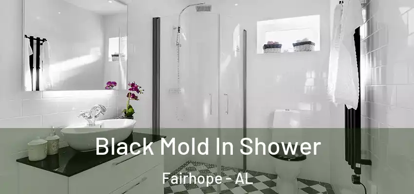 Black Mold In Shower Fairhope - AL