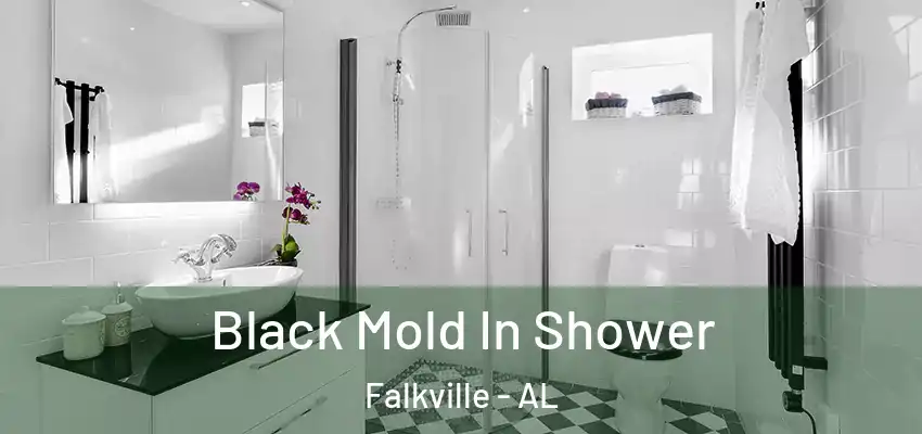 Black Mold In Shower Falkville - AL