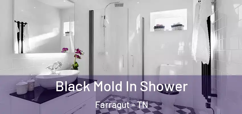 Black Mold In Shower Farragut - TN