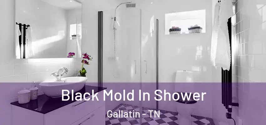  Black Mold In Shower Gallatin - TN