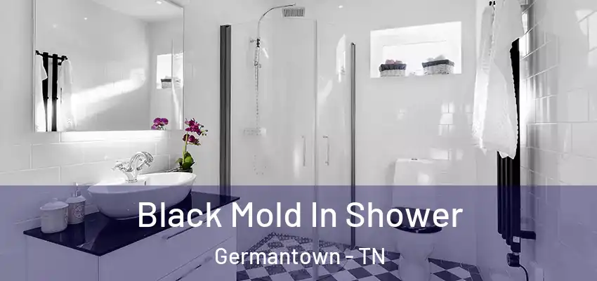  Black Mold In Shower Germantown - TN