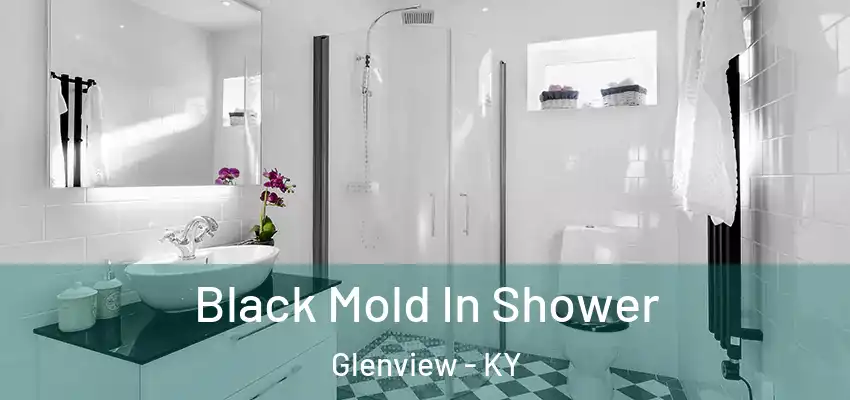  Black Mold In Shower Glenview - KY