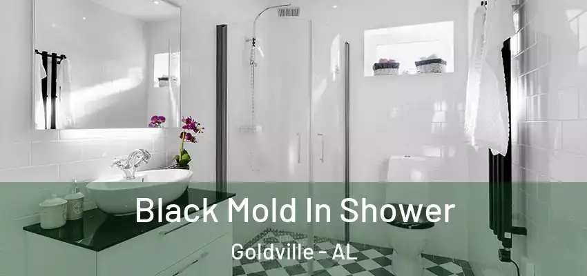  Black Mold In Shower Goldville - AL