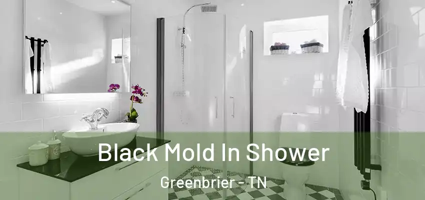  Black Mold In Shower Greenbrier - TN