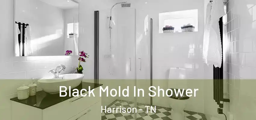 Black Mold In Shower Harrison - TN