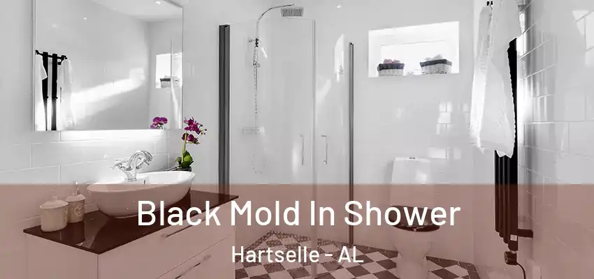 Black Mold In Shower Hartselle - AL