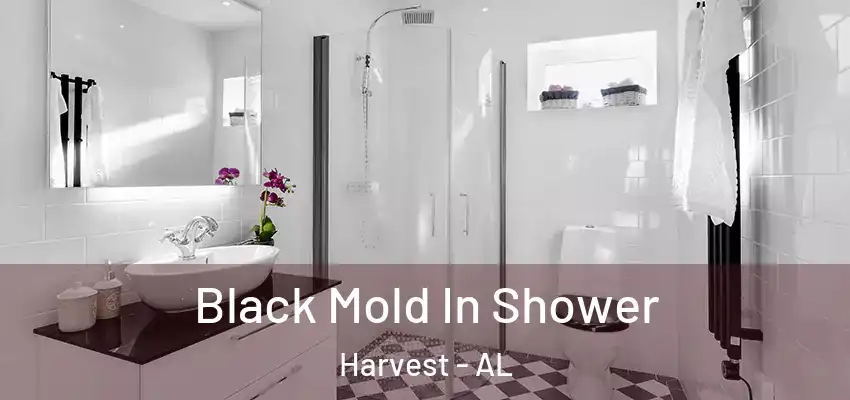  Black Mold In Shower Harvest - AL