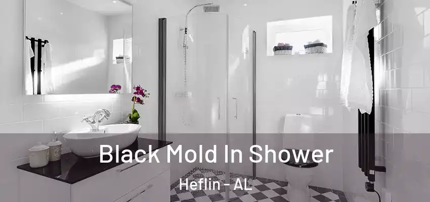  Black Mold In Shower Heflin - AL