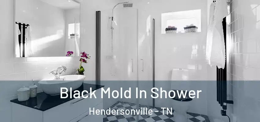  Black Mold In Shower Hendersonville - TN