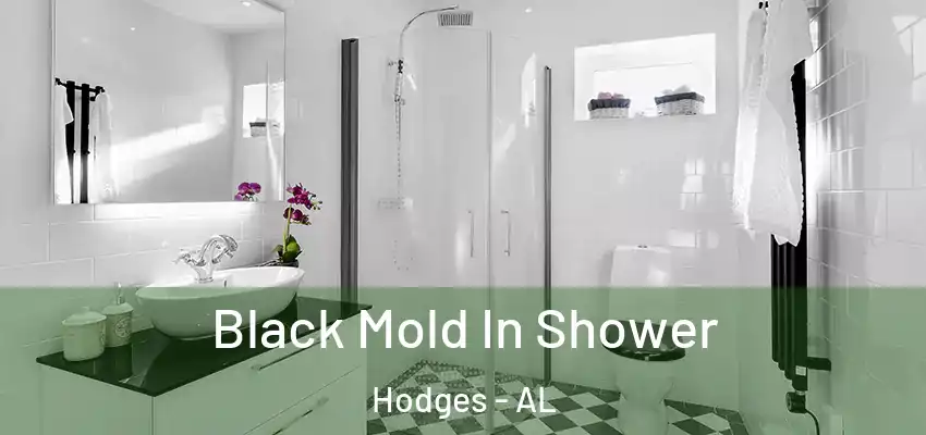  Black Mold In Shower Hodges - AL