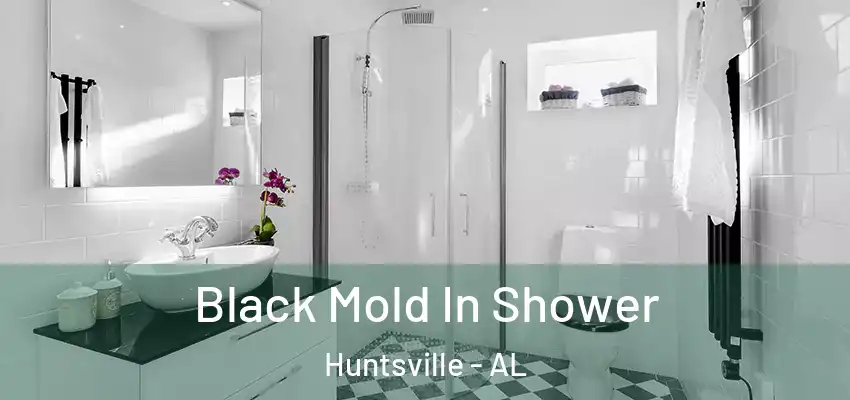 Black Mold In Shower Huntsville - AL
