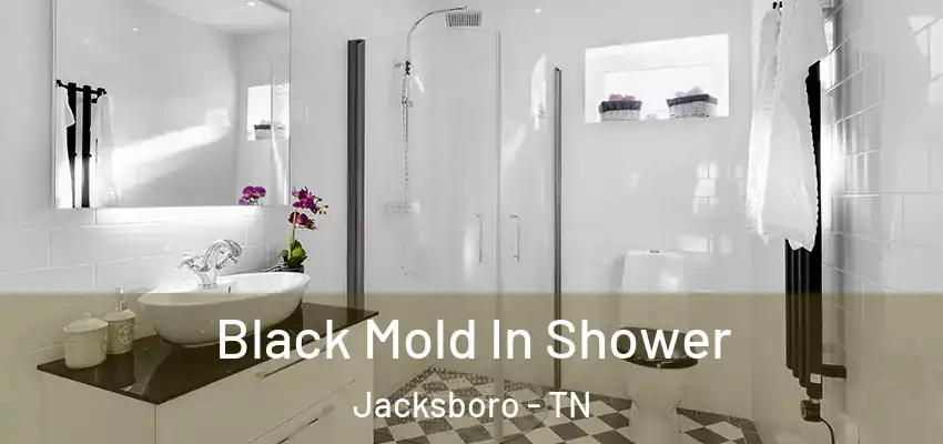  Black Mold In Shower Jacksboro - TN