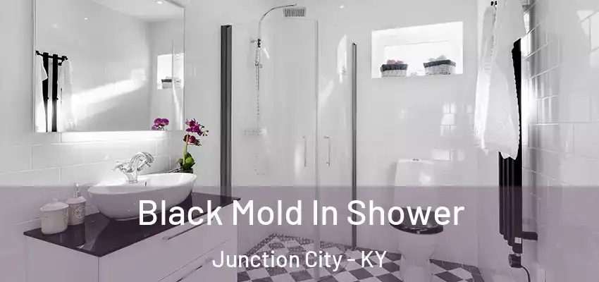  Black Mold In Shower Junction City - KY