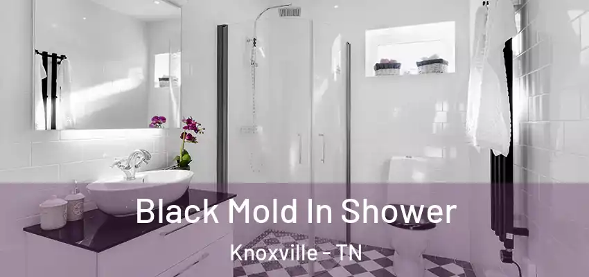  Black Mold In Shower Knoxville - TN
