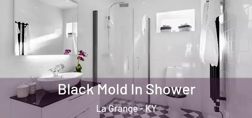  Black Mold In Shower La Grange - KY