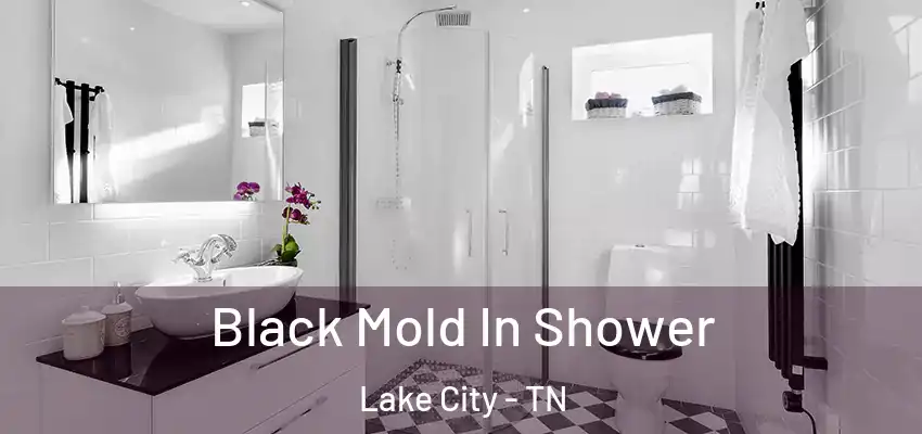  Black Mold In Shower Lake City - TN