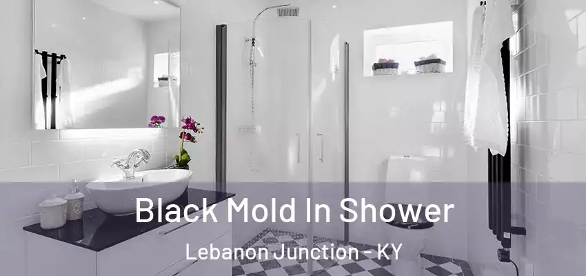 Black Mold In Shower Lebanon Junction - KY