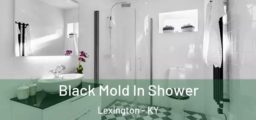 Black Mold In Shower Lexington - KY