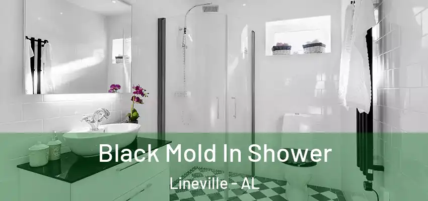  Black Mold In Shower Lineville - AL