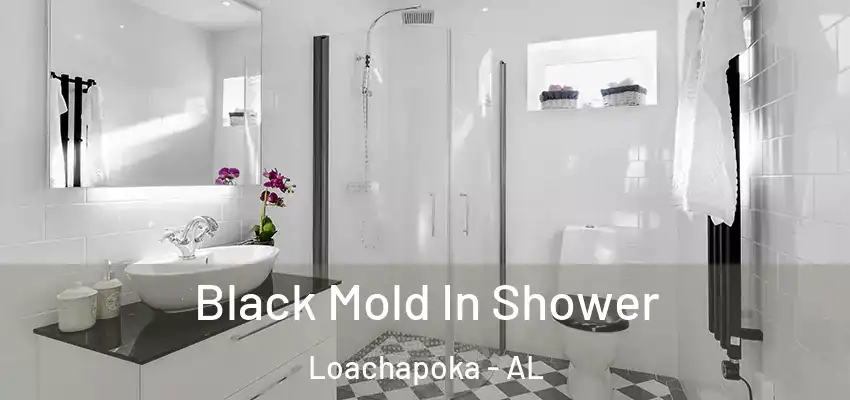  Black Mold In Shower Loachapoka - AL