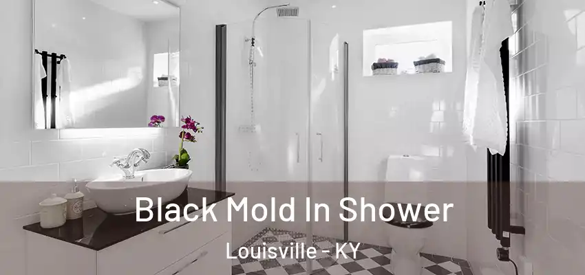  Black Mold In Shower Louisville - KY