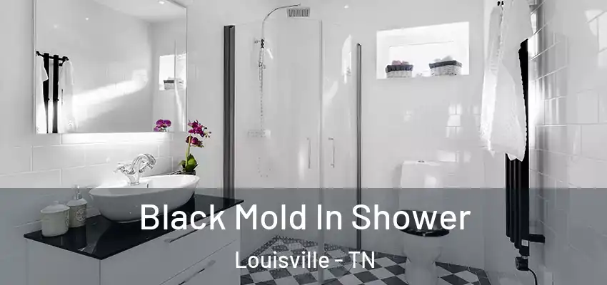  Black Mold In Shower Louisville - TN