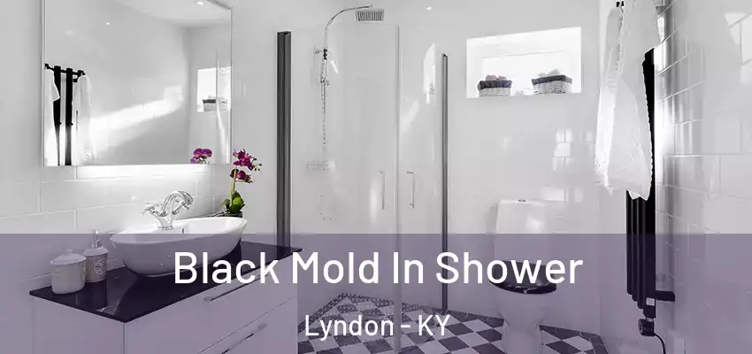  Black Mold In Shower Lyndon - KY