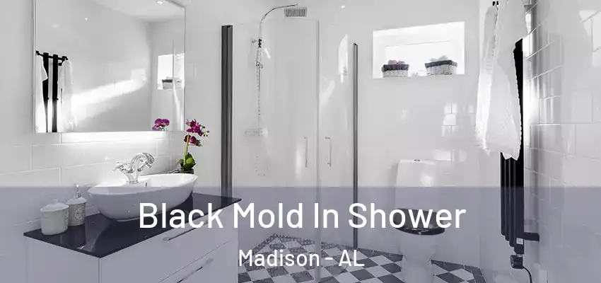 Black Mold In Shower Madison - AL