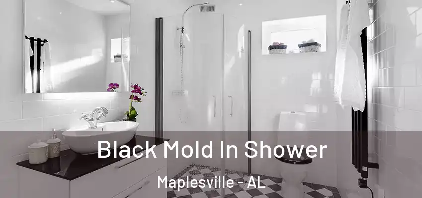  Black Mold In Shower Maplesville - AL