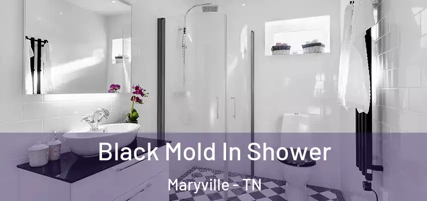  Black Mold In Shower Maryville - TN