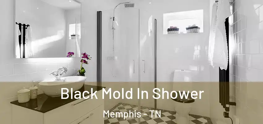 Black Mold In Shower Memphis - TN