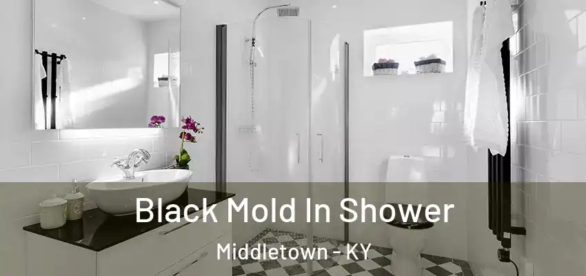  Black Mold In Shower Middletown - KY