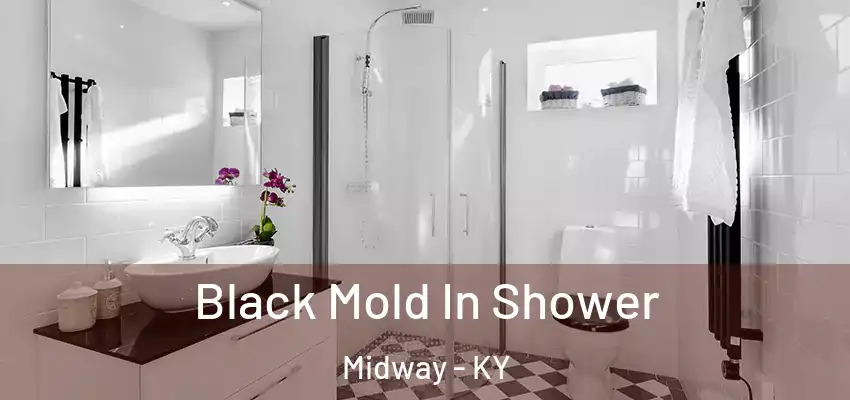 Black Mold In Shower Midway - KY