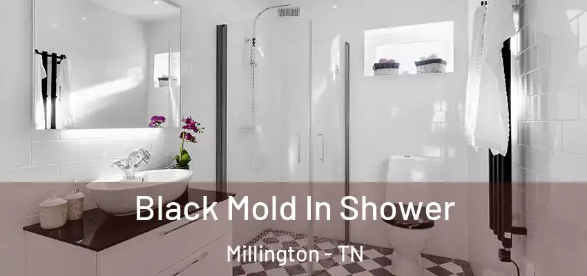  Black Mold In Shower Millington - TN