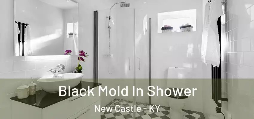  Black Mold In Shower New Castle - KY