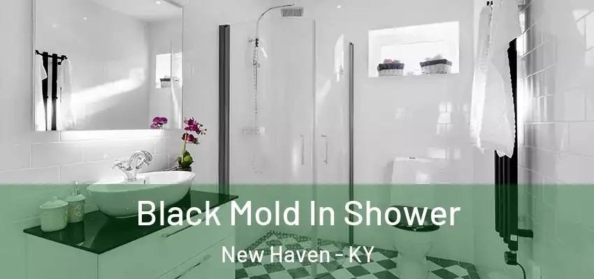  Black Mold In Shower New Haven - KY