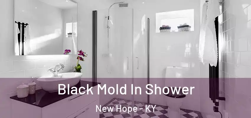 Black Mold In Shower New Hope - KY
