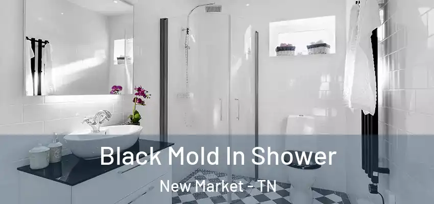  Black Mold In Shower New Market - TN