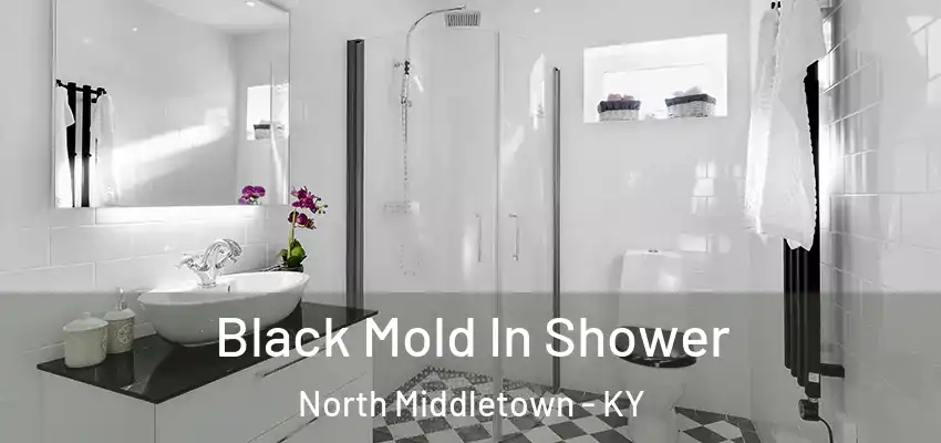 Black Mold In Shower North Middletown - KY